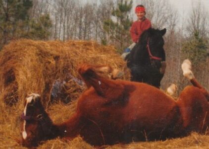 Bartering: Off-Grid Living Without Money Image